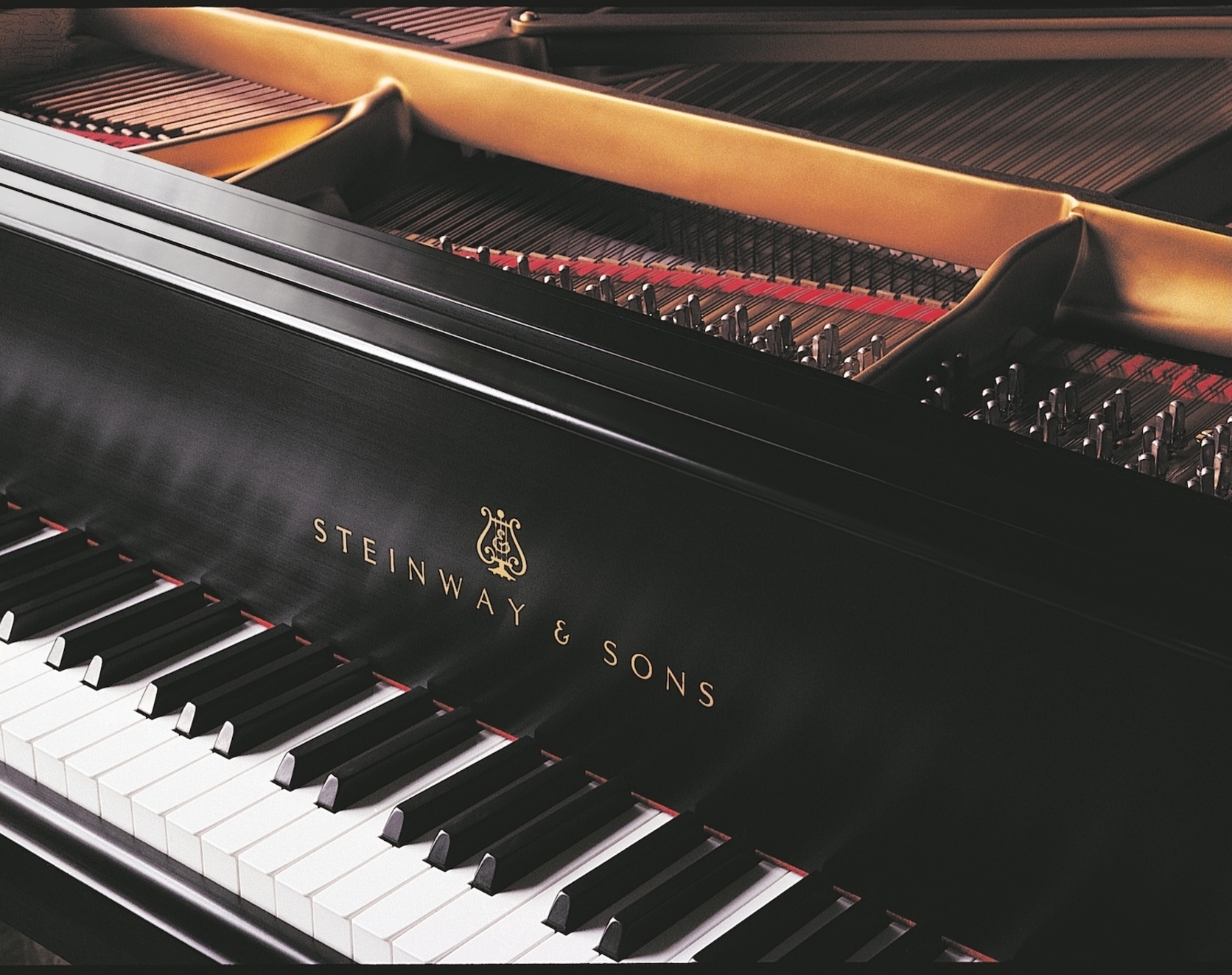 Screenshot_20260126_195001_M365 Copilot